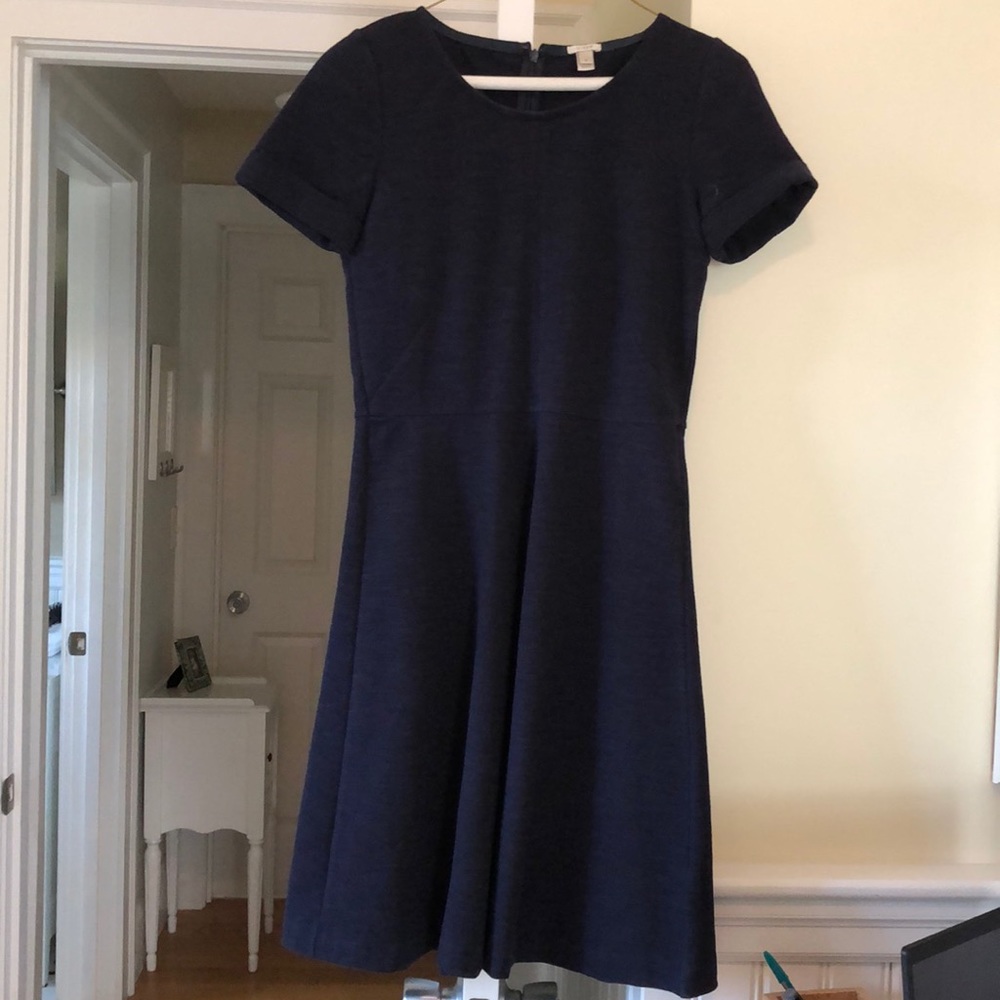 J Crew fit and flare dress